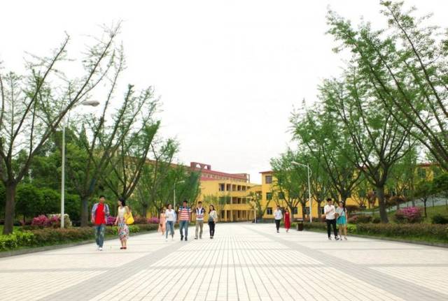 您好,我是成都理工大学工程技术学院,这是你要的大学吗?